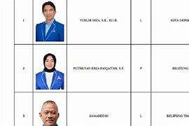 Daftar Caleg Dprd Dki Jakarta 2024 Pan