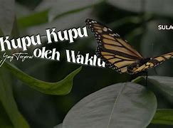 Kupu Kupu Musim Semi Topic Indonesia Bahasa Inggris Nya